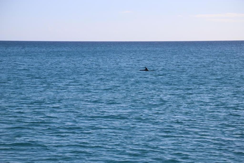 Ocean Flat Lägenhet Cagliari Exteriör bild